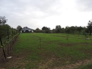 trava zasiata september 2015