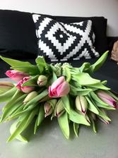 Jaro a tulipány!!