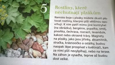 STOP plzákům :-)