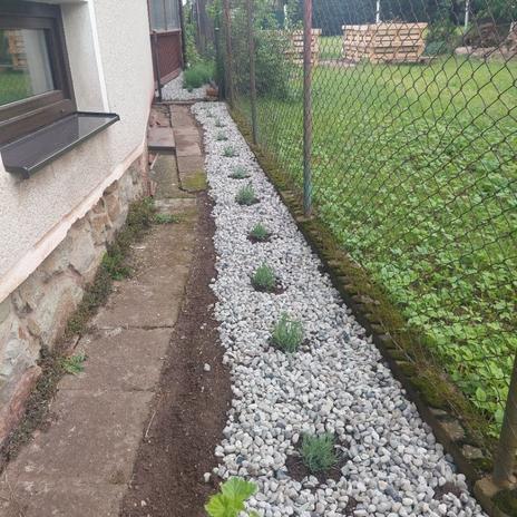 Renovace domu