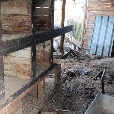 Renovace domu