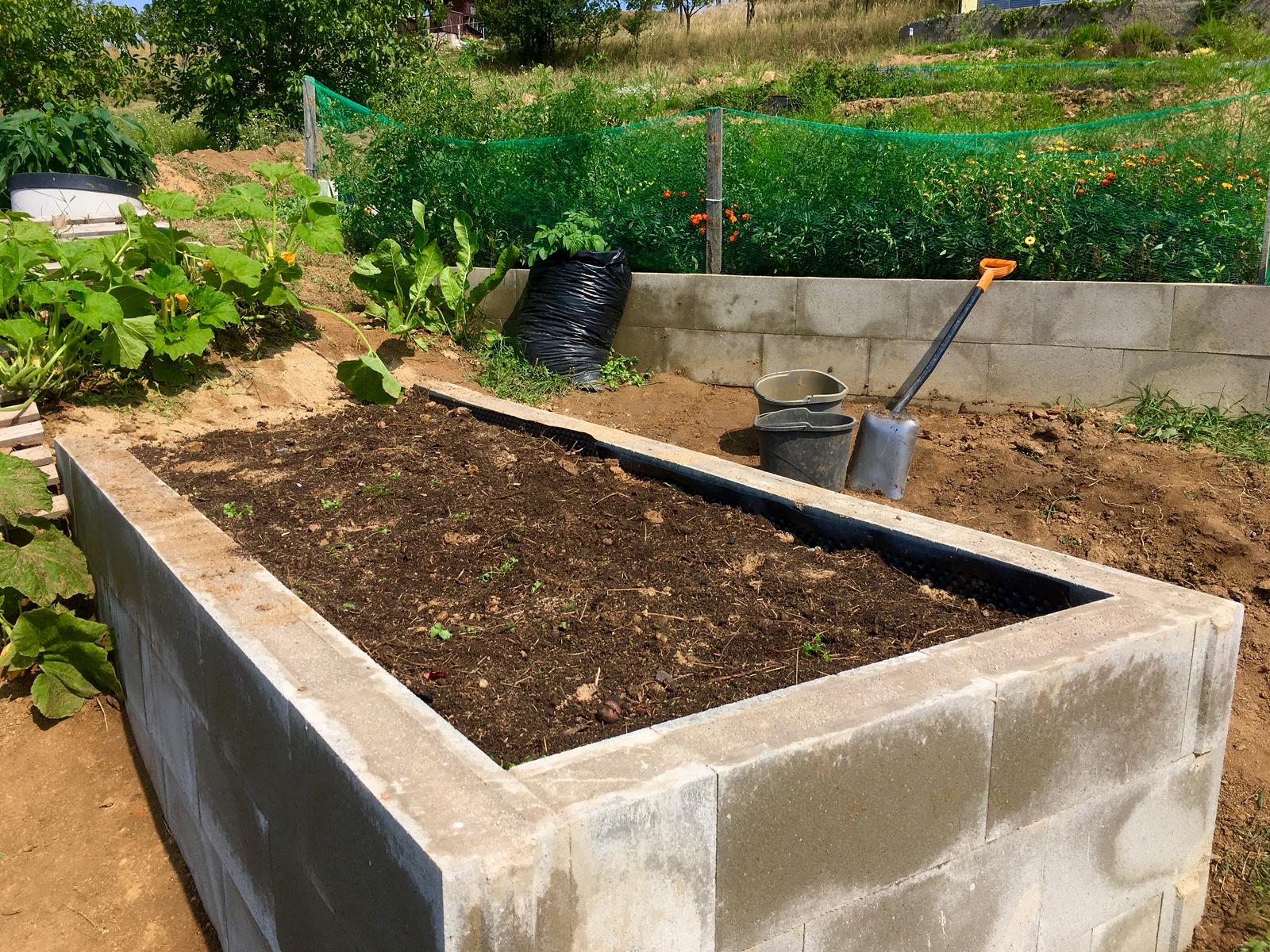 Skřítčí zahrada 2015 - 2020 - Srpen 2019 - nakonec přišly vrstvy hlíny, písku, popela, kompostu, ještě trochu hlíny dosypu, jak si to sedne ... a zaseju mrkev, červenou řepu, ředkvičky, ředkve, saláty, hrášek (s krátkou vegetační dobou) a kopr