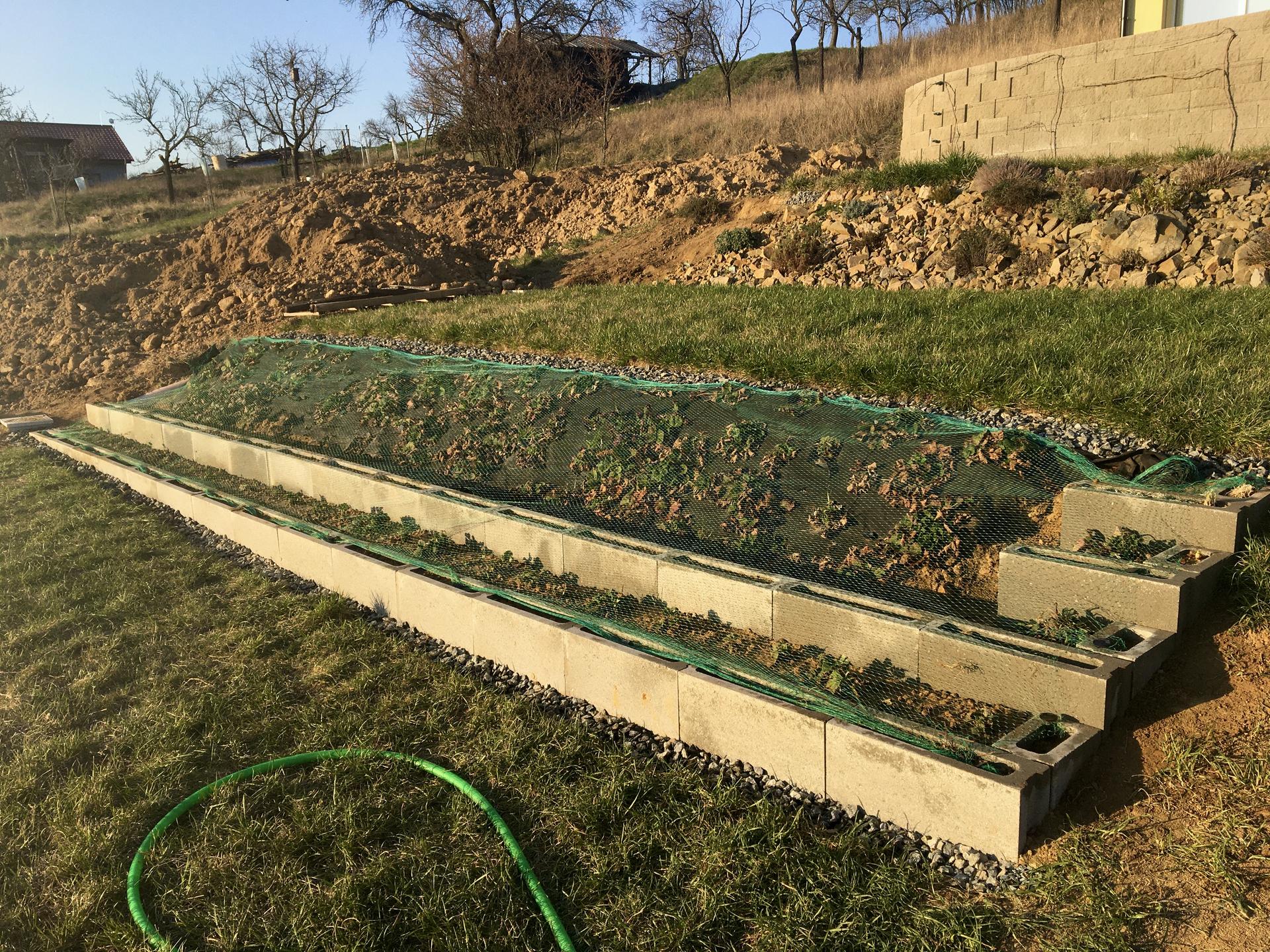 Skřítčí zahrada 2015 - 2020 - Březen 2020 - polovina jahodníkových terásek hotova