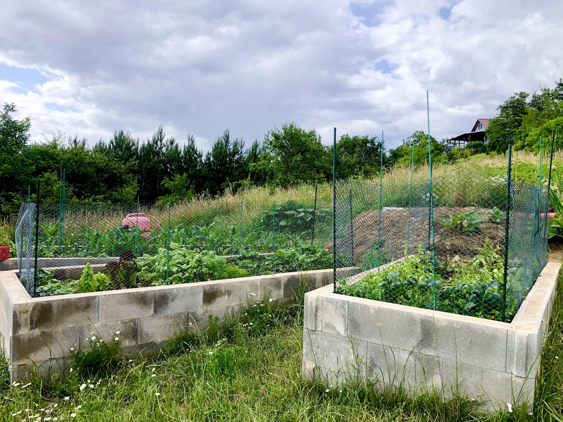 Skřítčí zahrada 2021 - Červenec 2021 - tak jsem holt kolem záhonů s tím, co zajícům chutná, vyrobila plůtky