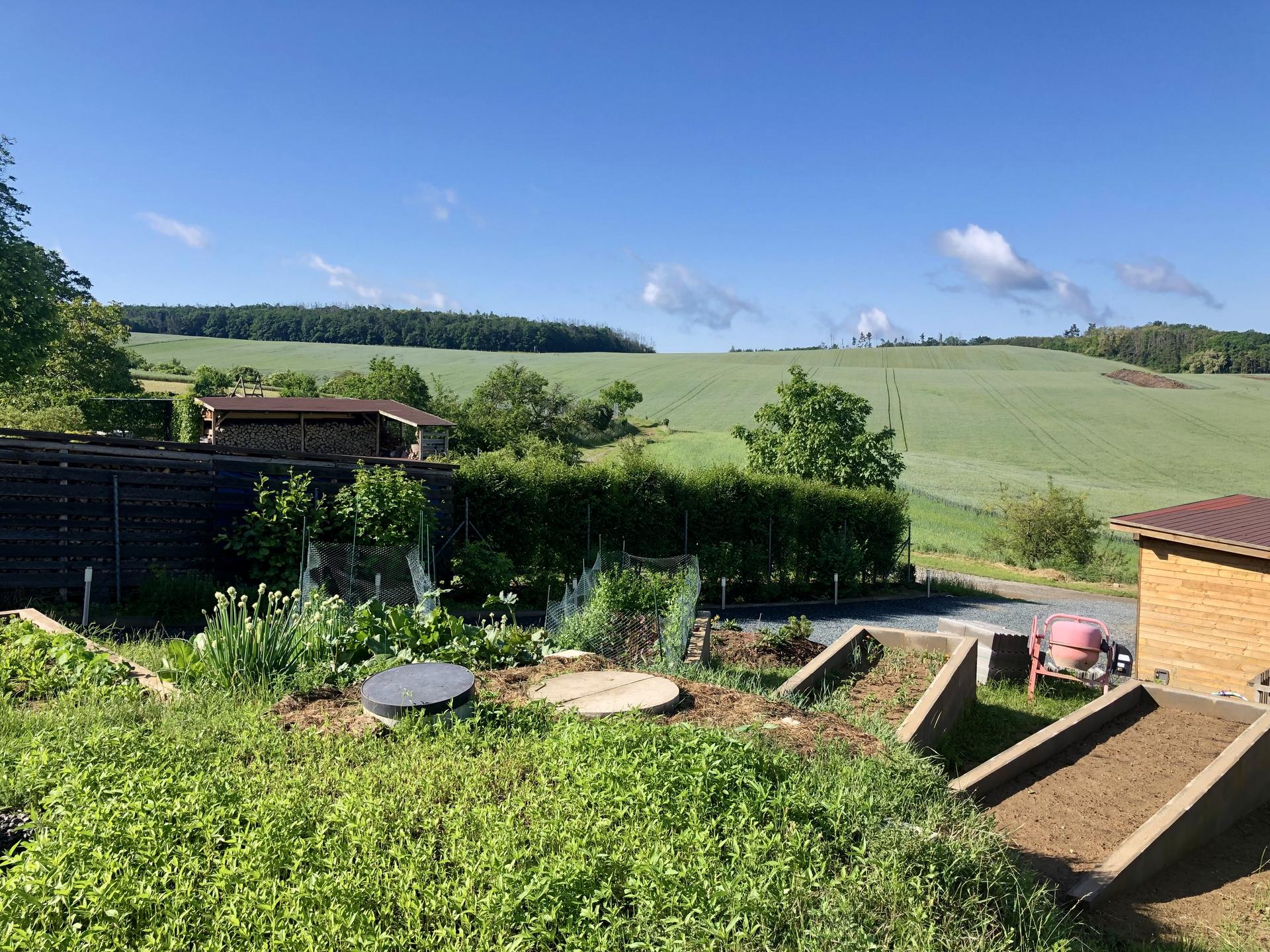 Skřítčí zahrada 2022 - Červen 2022 - našich pět zeleninových záhonů okolo kopečku se zakopanými nádržemi na vodu