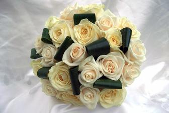 Love this with dimonte's in them! :) will be white and cream avalanches, vendella's and akito's