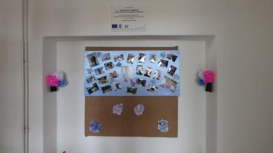 po - chodba před vstupem na sál
