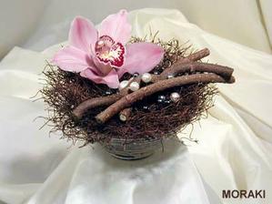 na prstynky jen se zelenou orchideii