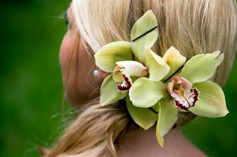 A zase ta orchidej