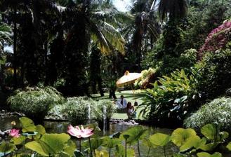 Svadobna cesta Bali. Ideme 3 dni po svadbe.