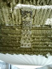 detail kotvenia