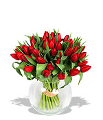 Tulipány miluji, ale je s nima v červnu celkem problém :-(