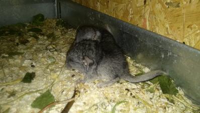 den druhý....3.6.2014