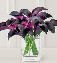 love calla lillies
