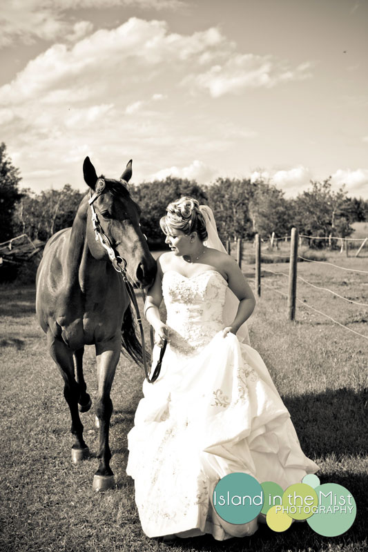Koně, koníčci a svatba koňmo.... - Obrázek č. 4