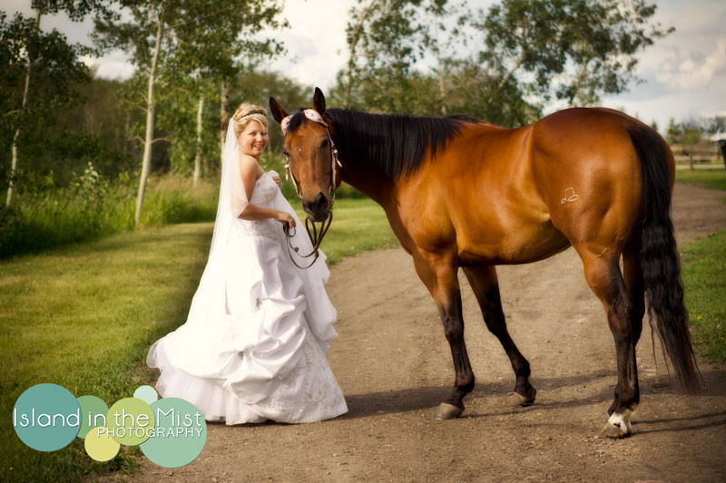 Koně, koníčci a svatba koňmo.... - Obrázek č. 8