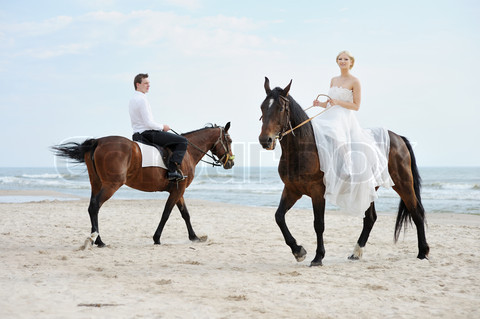 Koně, koníčci a svatba koňmo.... - Obrázek č. 12