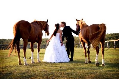 Koně, koníčci a svatba koňmo.... - Obrázek č. 23