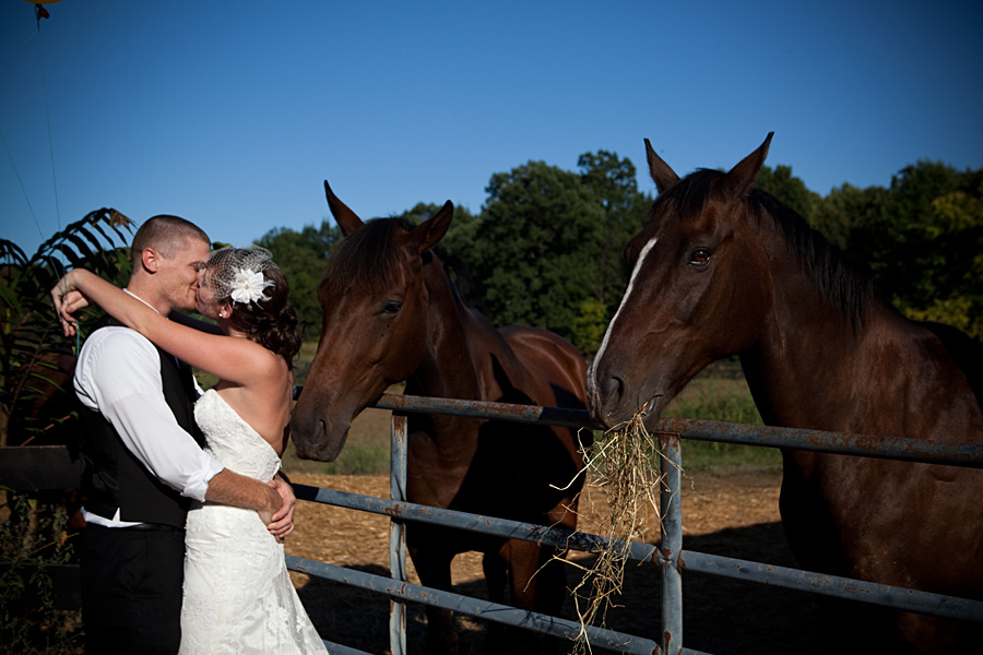Koně, koníčci a svatba koňmo.... - Obrázek č. 48