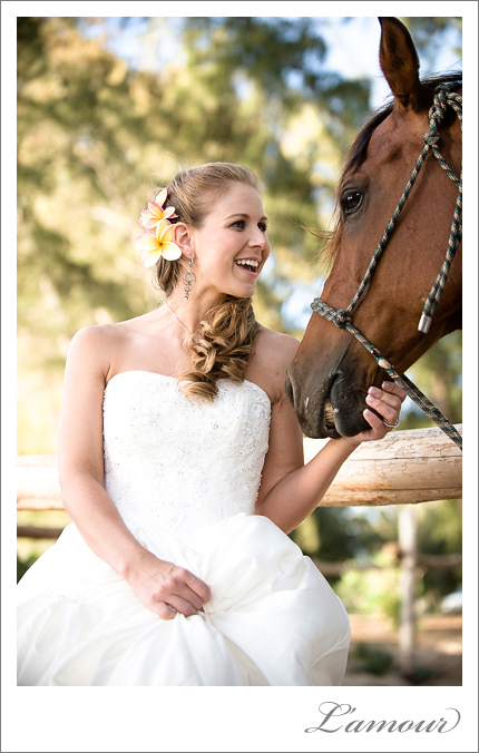 Koně, koníčci a svatba koňmo.... - Obrázek č. 52