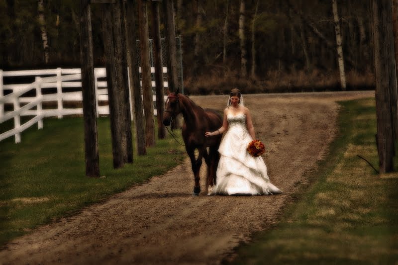 Koně, koníčci a svatba koňmo.... - Obrázek č. 69