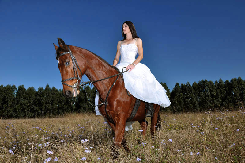 Koně, koníčci a svatba koňmo.... - Obrázek č. 72