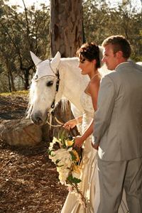 Koně, koníčci a svatba koňmo.... - Obrázek č. 87