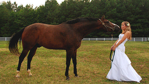 Koně, koníčci a svatba koňmo.... - Obrázek č. 88