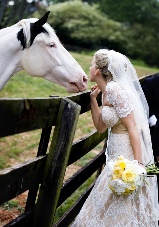 Koně, koníčci a svatba koňmo.... - Obrázek č. 89