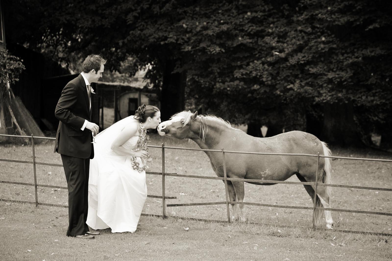 Koně, koníčci a svatba koňmo.... - Obrázek č. 99