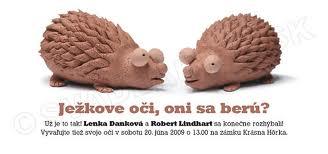 Ježkove oči sú super :) predpokladám že je rozhodnuté :D