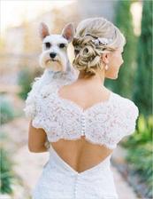 Tak tieto šatočky su pekné a ten účes k tomu ;) http://www.aliexpress.com/item/Free-Shipping-Sweetheart-Beading-Belt-Remove-Jacket-Backless-Tulle-Wedding-Dresses-SISI-Bride-Manufacturer-Store-Online/1241712381.html myslím že sú to podobné šaty ;)