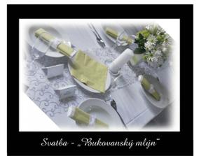 svatebni hostina, kterou jsme si celou...