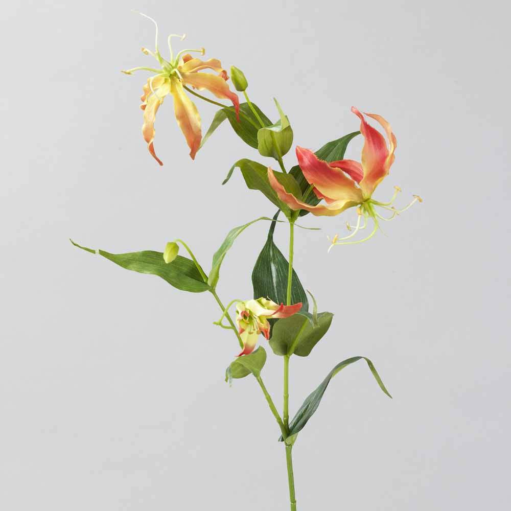 Hodvábny kvet  glorisa  - Obrázok č. 1