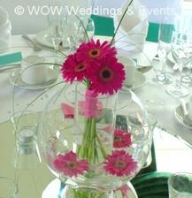 Were having to of these on the top table with Maroon coloured flowers