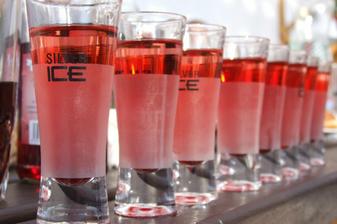 vypilo se toho hodně, ale plameňáci měli největší úspěch (vodka - griotka)