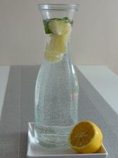 tohle můžeme celé léto - sodová voda, citron a máta