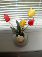 Umelé tulipániky :-)