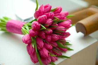 kdybych se vdávala na jaře, tak bych chtěla tulipány