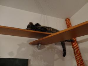poriadne ponatahovat:)