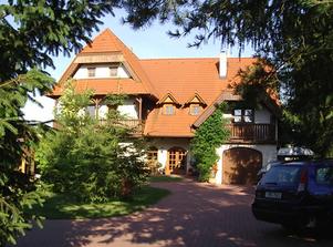 spousta zeleně