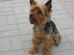 nas milacik bude mat motylika =)