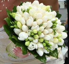 určite tulipány a frézie