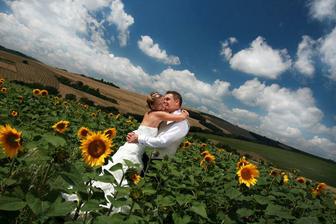 ...in sunflower's field...